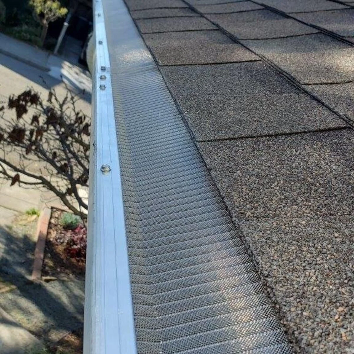 Gutter guards installed along roofline — perforated white guard covering gutter with green trees in background