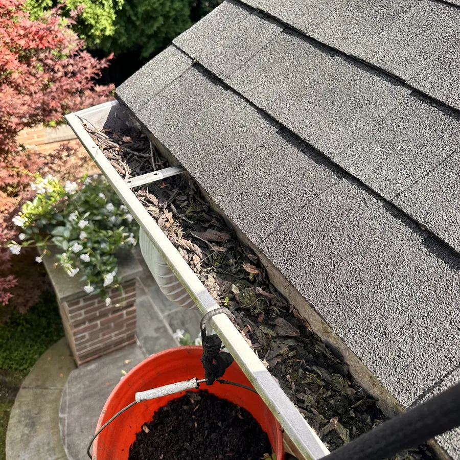 Gutter packed with leaves and debris before cleaning