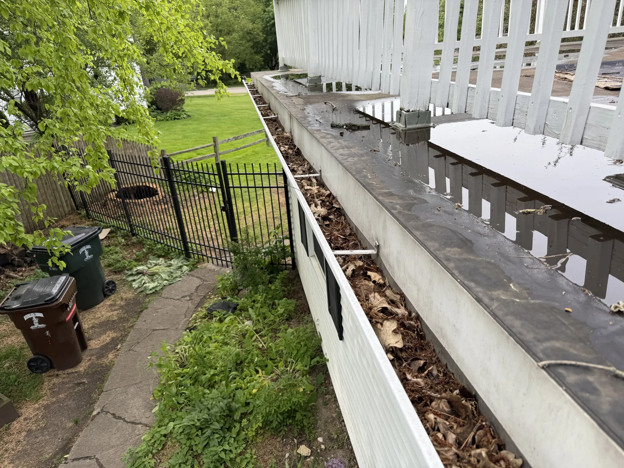 Gutter packed solid with leaves and debris before cleaning, water pooled on the roof edge