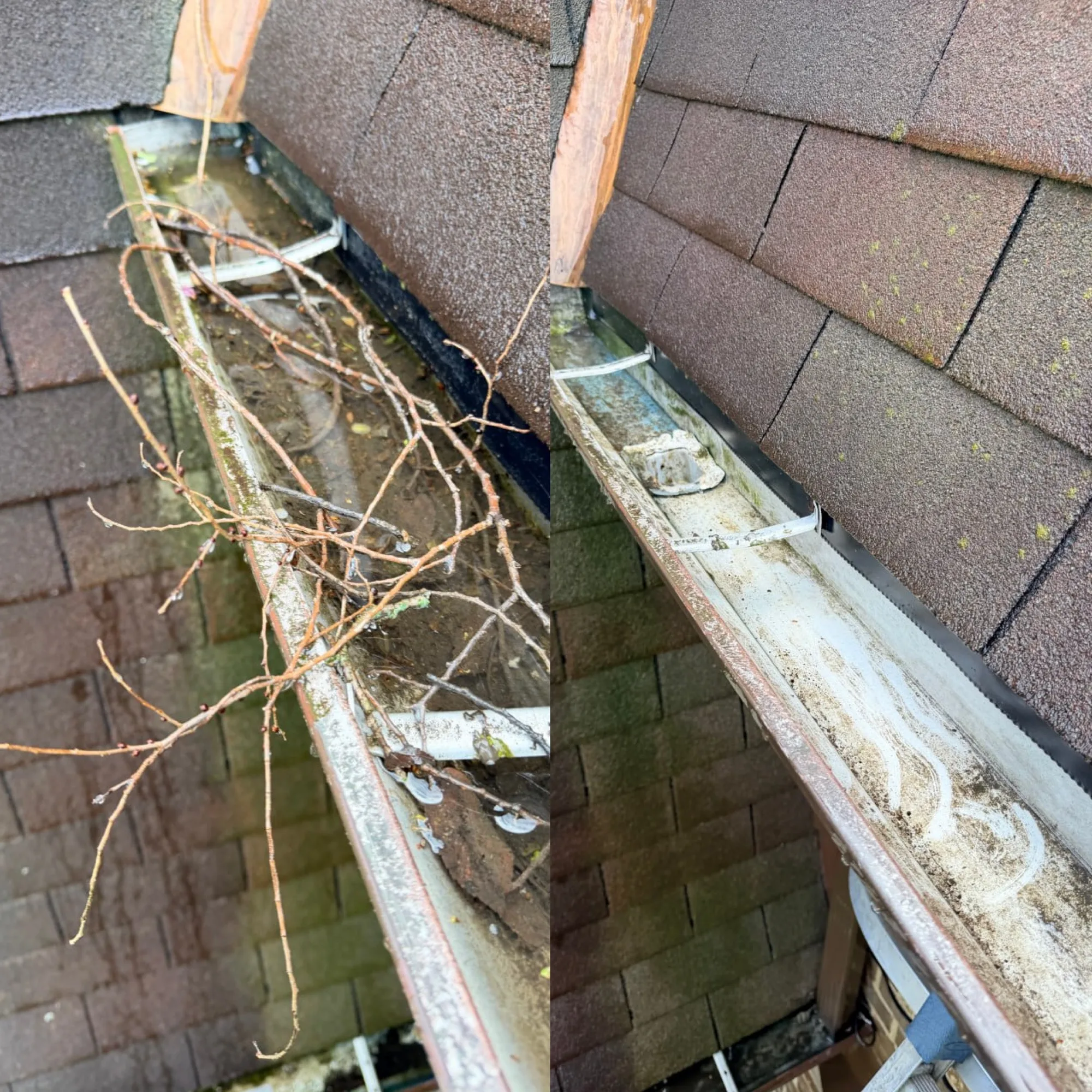 Standing water and twigs in a gutter before cleaning, dry clean gutter after