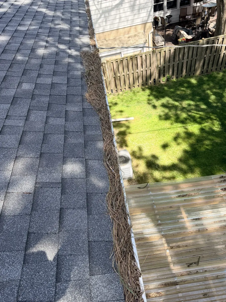 Gutter filled with a mat of pine needles