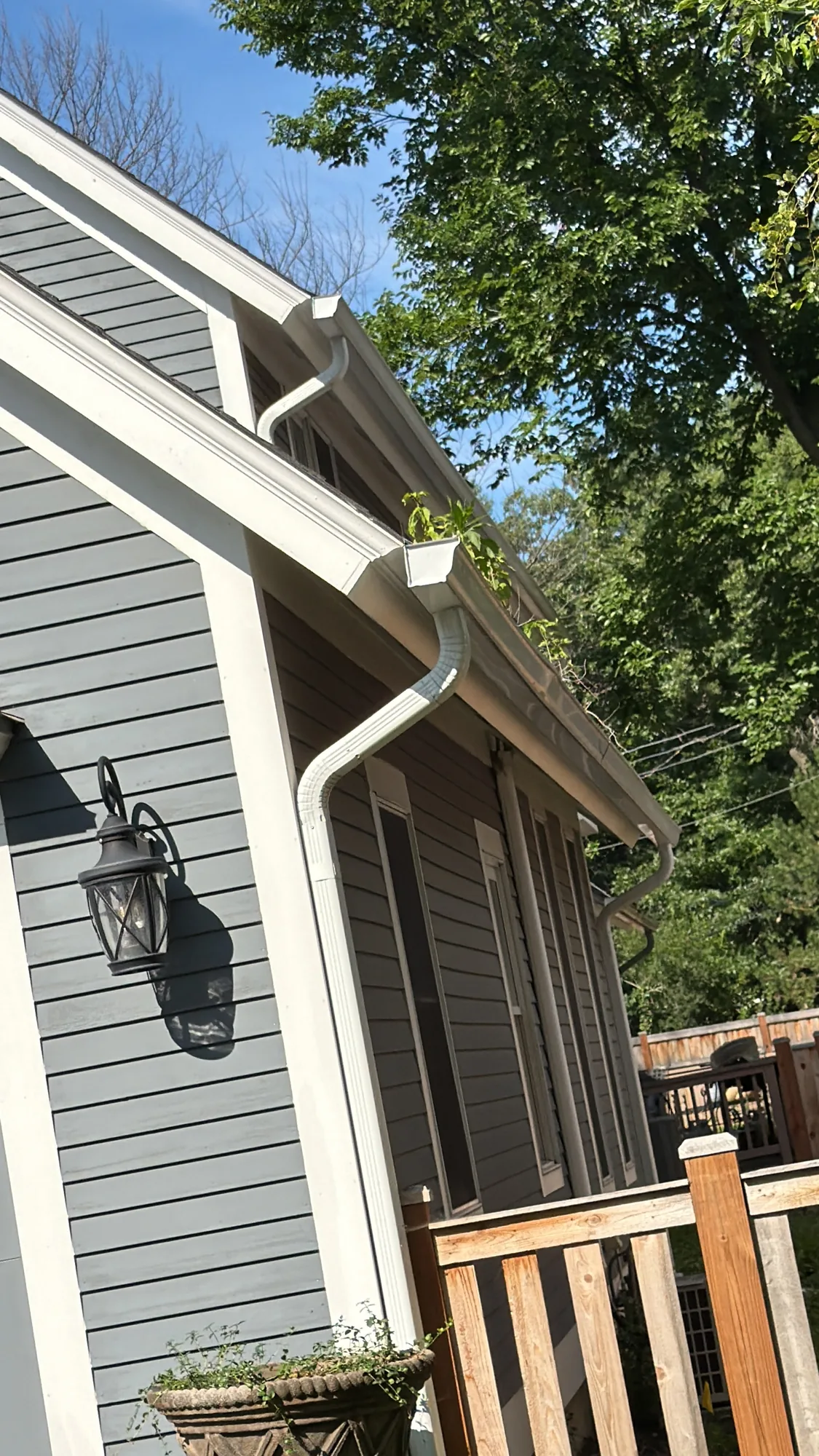 Plant growing out of a clogged gutter on a Glenview home, seen from the driveway
