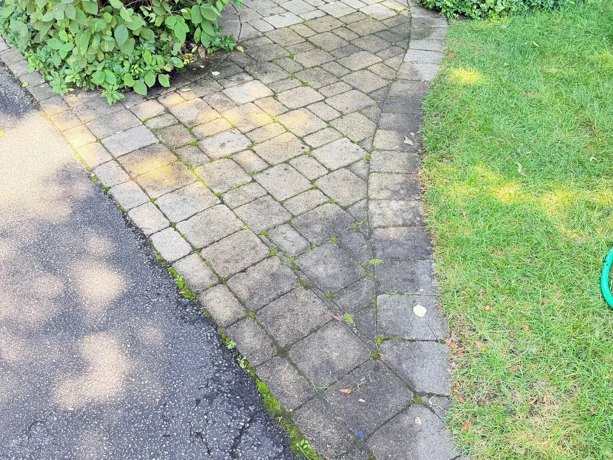 Paver front walk before washing, joints green with moss and the pavers darkened