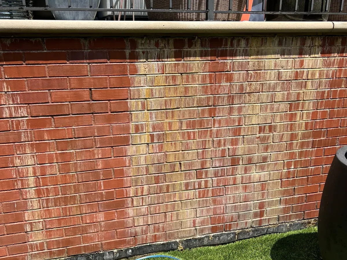 Brick foundation wall before washing, the face streaked yellow and green under the coping stone