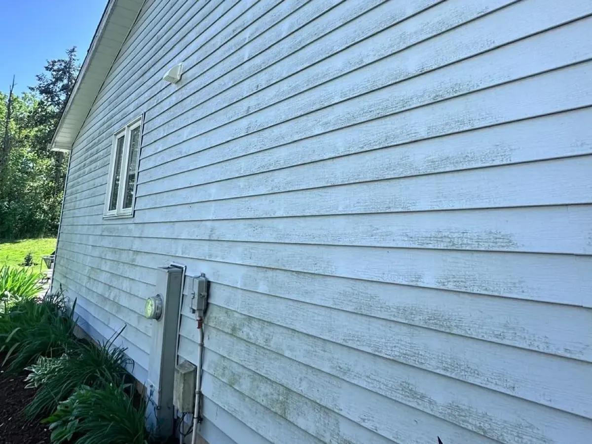 White vinyl siding before washing, with green and grey algae streaking down the lap joints